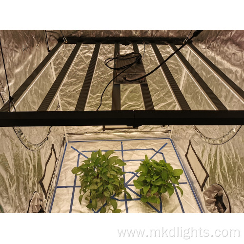 Full Spectrum LED Grow Light 640W 1000W Dimmable